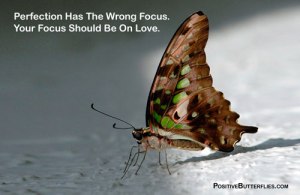 Perfection-wrong-focus